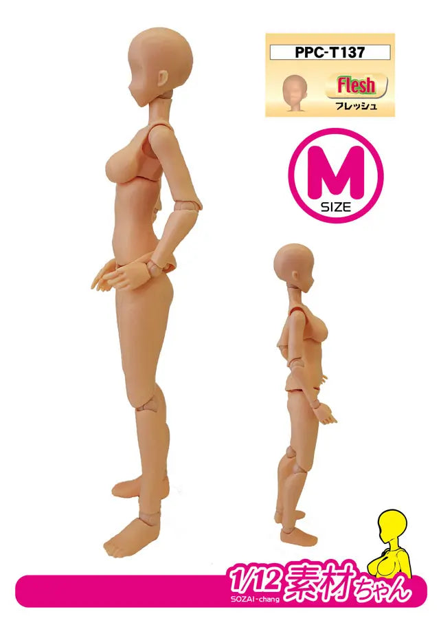 関節技EX 素材ちゃんM フレッシュ 1/12スケール