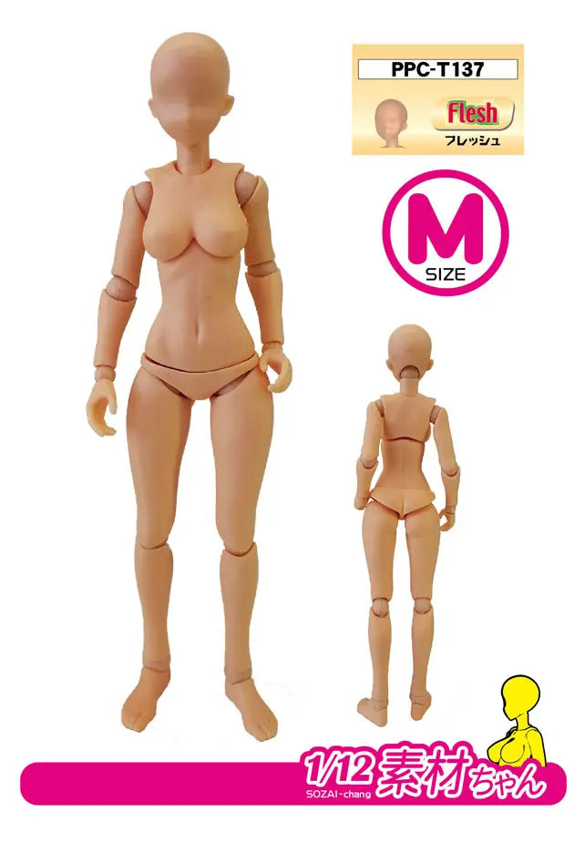 関節技EX 素材ちゃんM フレッシュ 1/12スケール