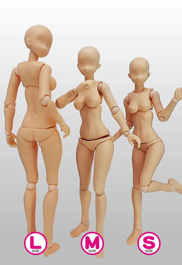 関節技EX 素材ちゃんM 褐色 1/12スケール