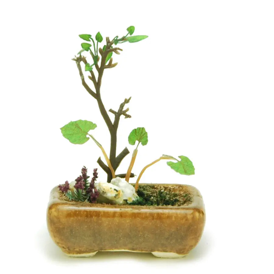 【再販】角鉢寄せ植え【茶】