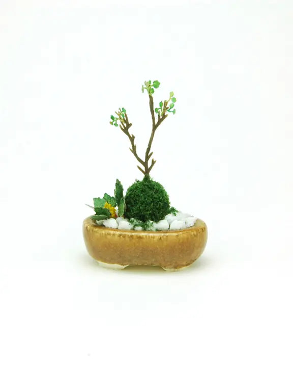 【再販】小判寄せ植え【茶】