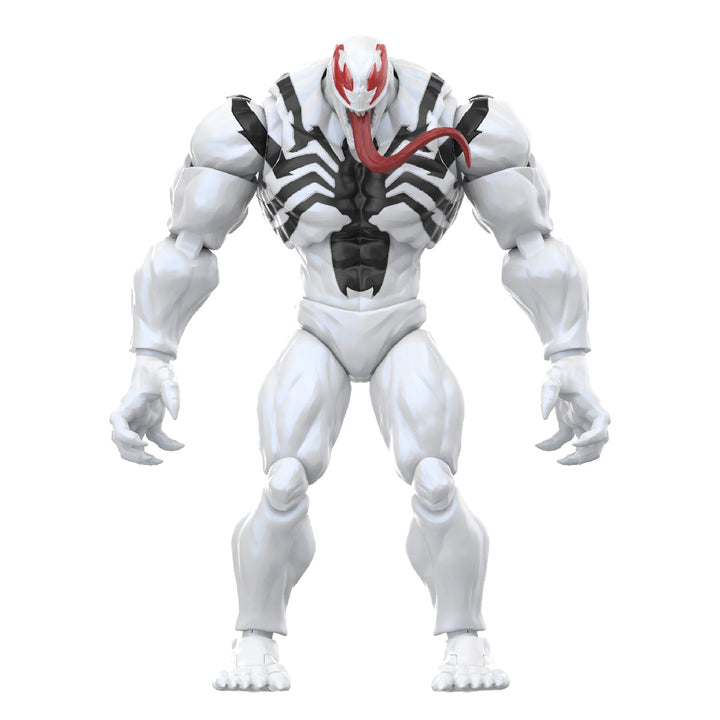 CHAMPION CLASS15 アンチ・ヴェノム