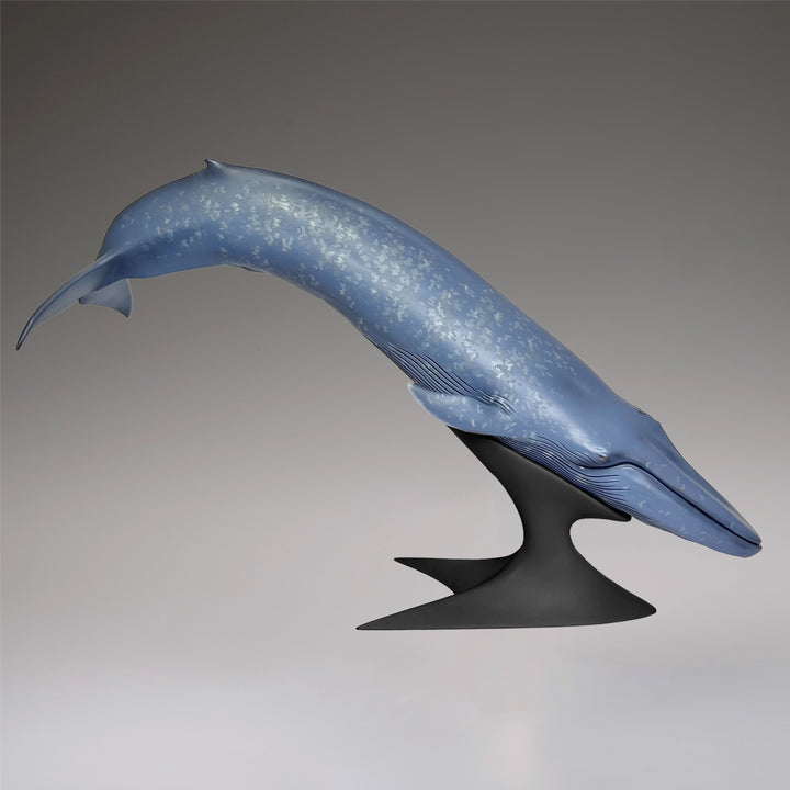 シロナガスクジラ 国立科学博物館 常設展（屋外展示）