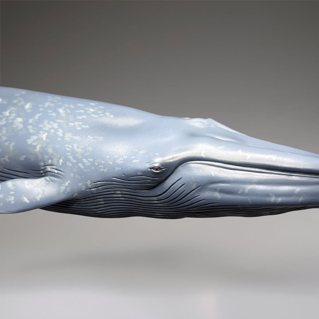 シロナガスクジラ 国立科学博物館 常設展（屋外展示）