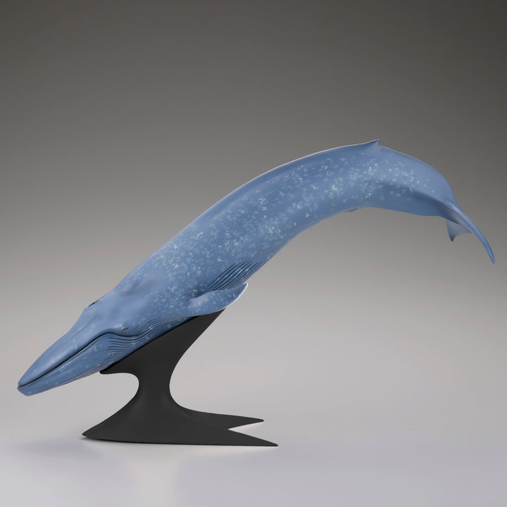 シロナガスクジラ 国立科学博物館 常設展（屋外展示）
