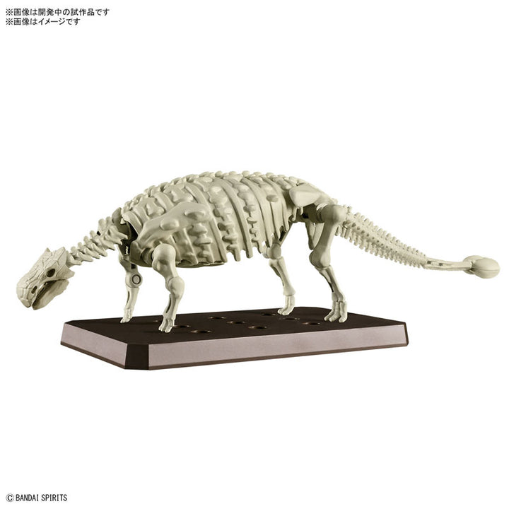 【決算セール対象！】 プラノサウルス アンキロサウルス
