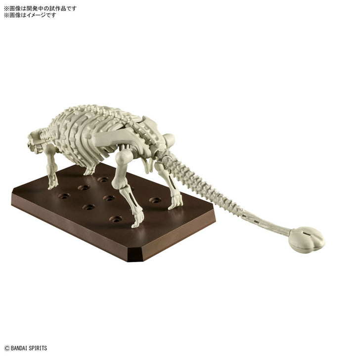 【決算セール対象！】 プラノサウルス アンキロサウルス