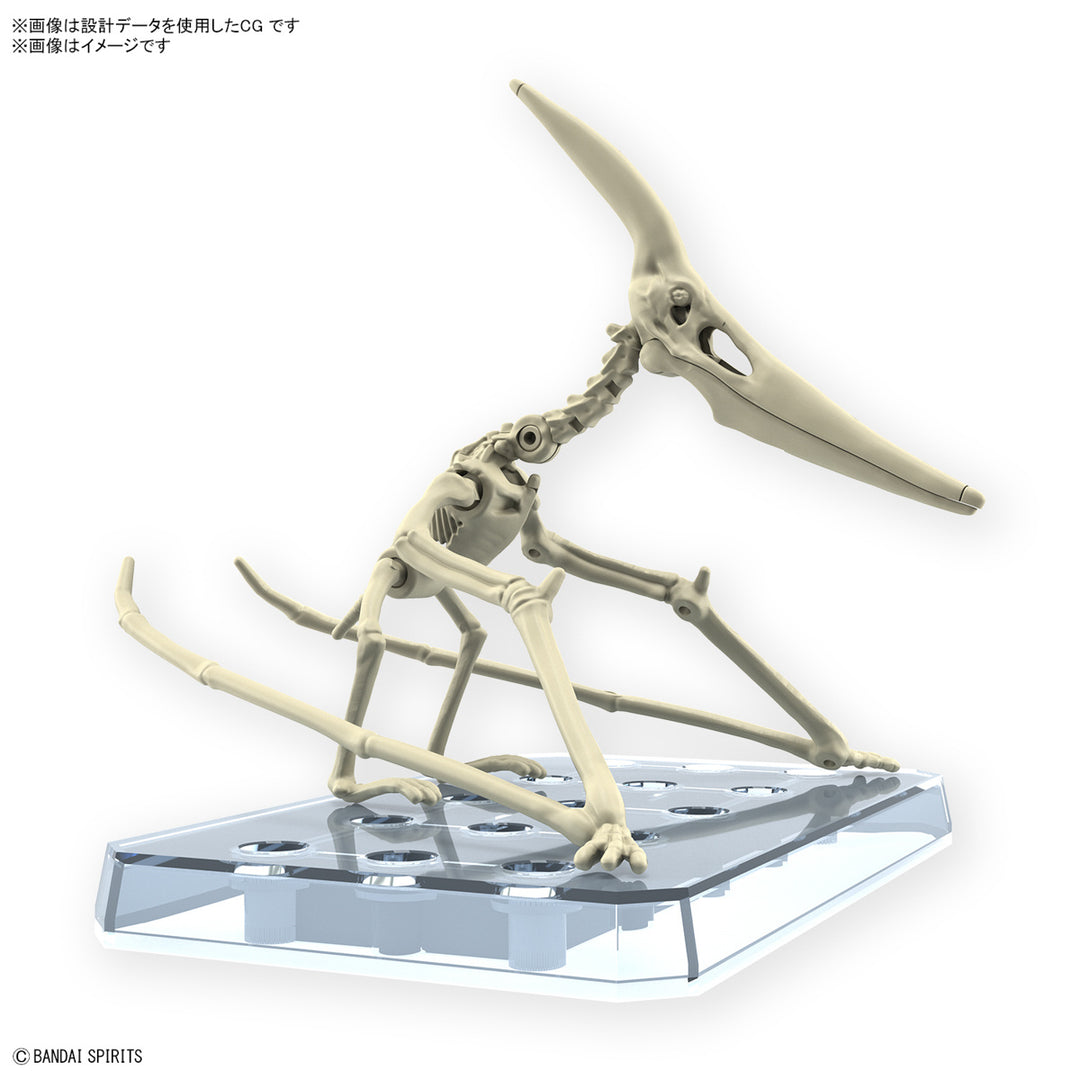 【決算セール対象！】 プラノサウルス プテラノドン