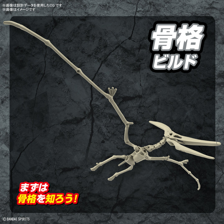 【決算セール対象！】 プラノサウルス プテラノドン