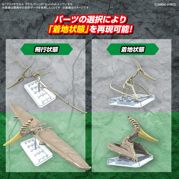 【決算セール対象！】 プラノサウルス プテラノドン