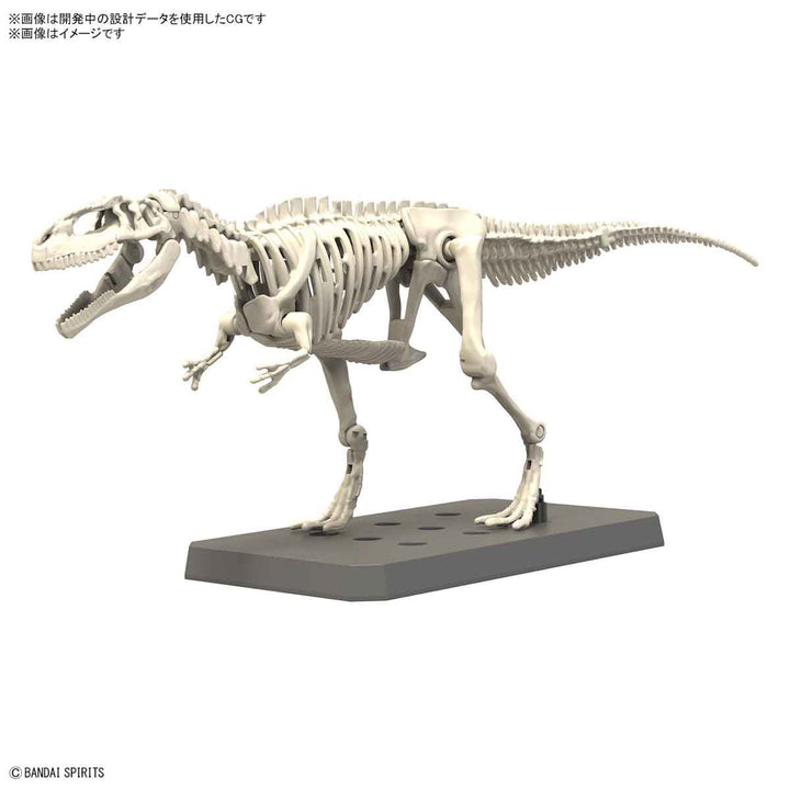 【決算セール対象！】 プラノサウルス ギガノトサウルス