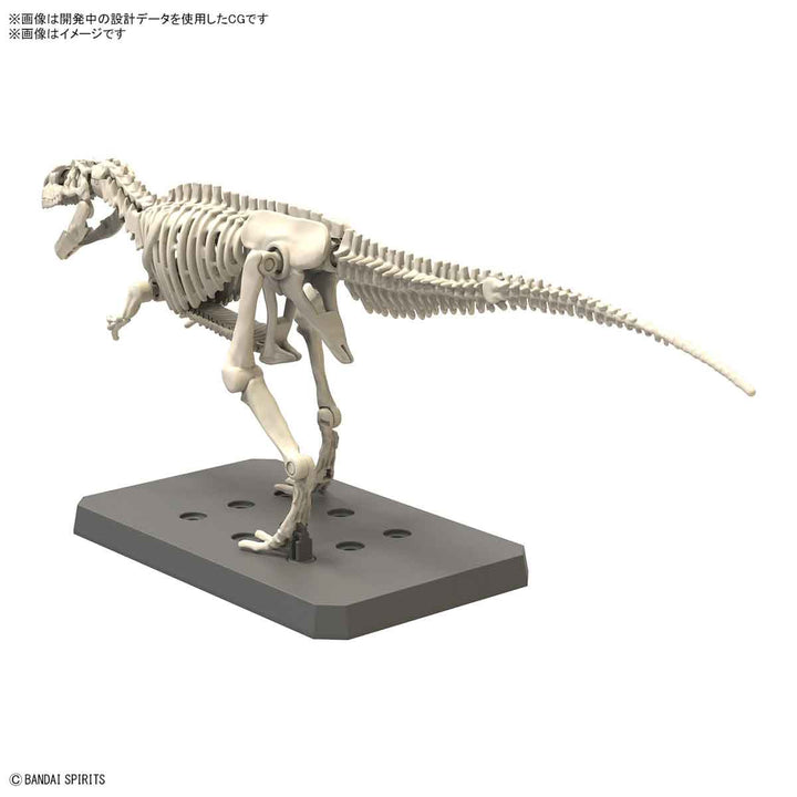 【決算セール対象！】 プラノサウルス ギガノトサウルス