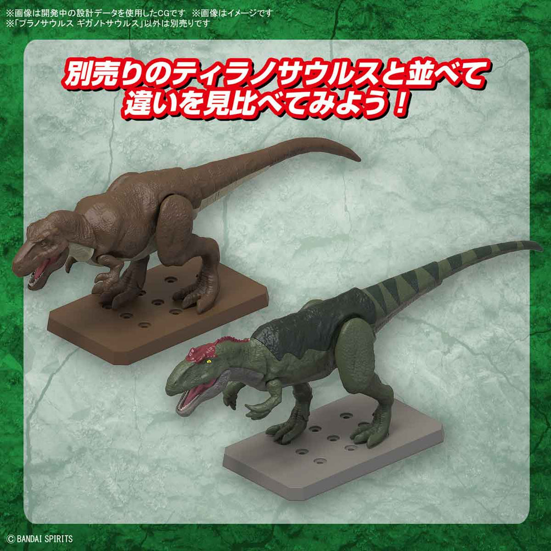 【決算セール対象！】 プラノサウルス ギガノトサウルス