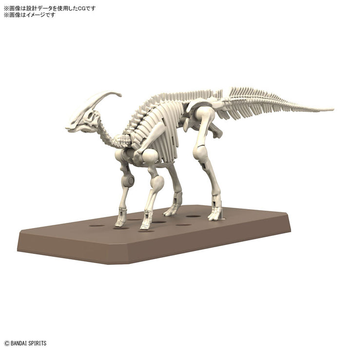 【決算セール対象！】 プラノサウルス パラサウロロフス