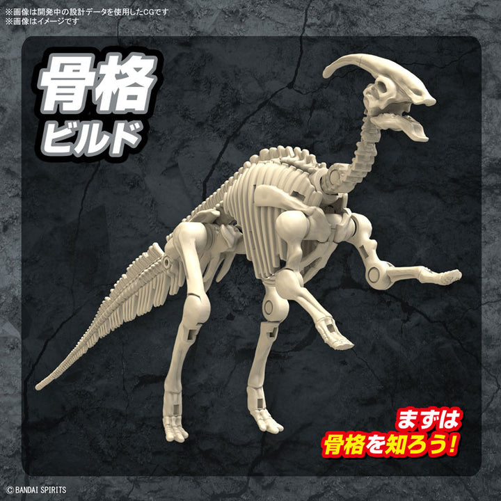 【決算セール対象！】 プラノサウルス パラサウロロフス