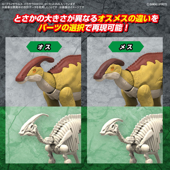 【決算セール対象！】 プラノサウルス パラサウロロフス