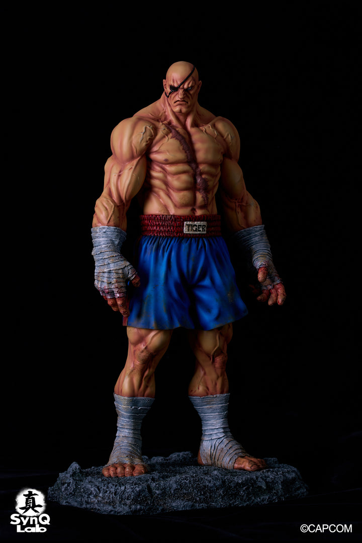 サガット 1/6スケール