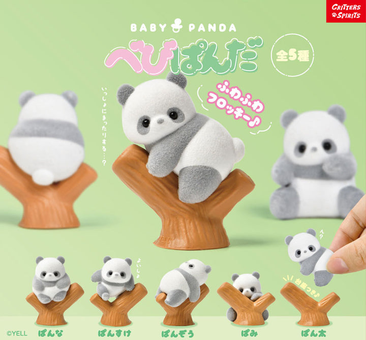 [BOX販売]べびぱんだ -10個入りBOX-