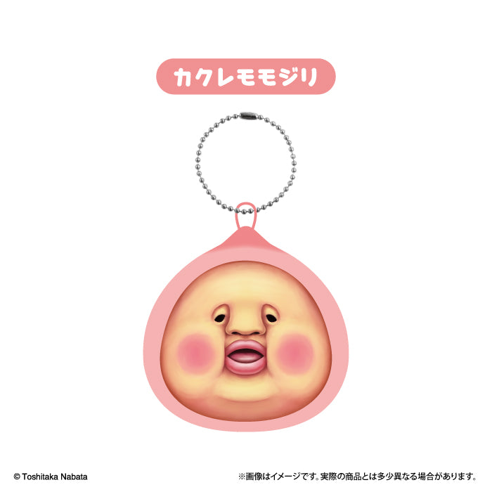 [BOX販売]CV こびとづかん クッションキーホルダー2 -12個入りBOX-