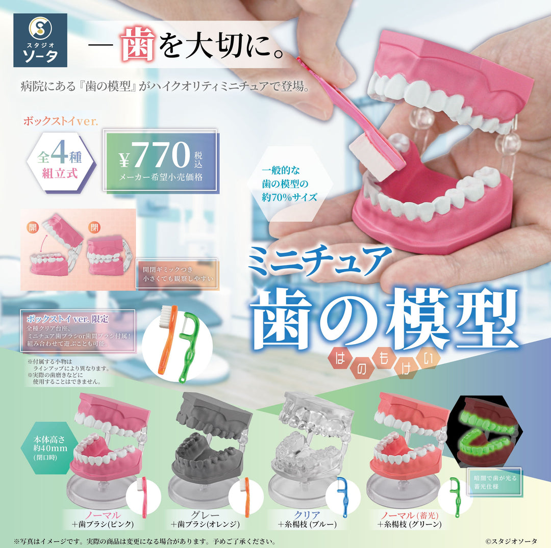 [BOX販売]ミニチュア歯の模型 -4個入りBOX-