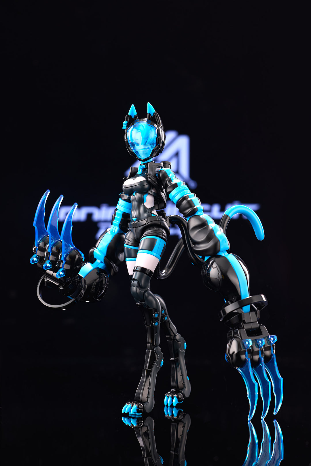 アニマサーキット ソラ・ザ・キャット SP 1/12スケール