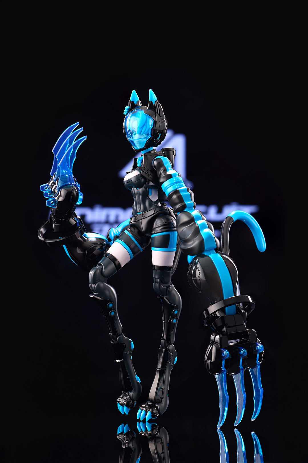 アニマサーキット ソラ・ザ・キャット SP 1/12スケール