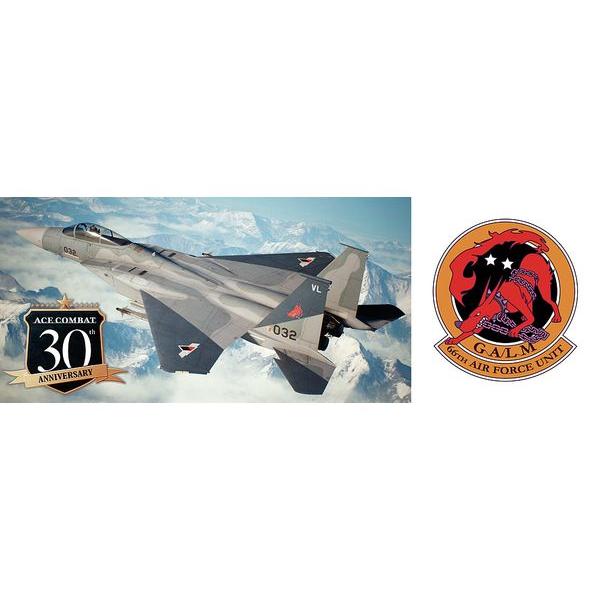 1/72 ｢エースコンバット7 スカイズ･アンノウン｣ F-15C イーグル “ガルム1"