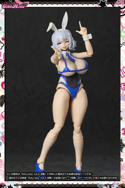 GALHolic Customize Resin Kit Vol.3