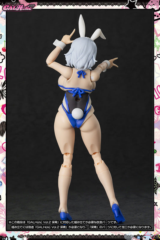 GALHolic Customize Resin Kit Vol.3