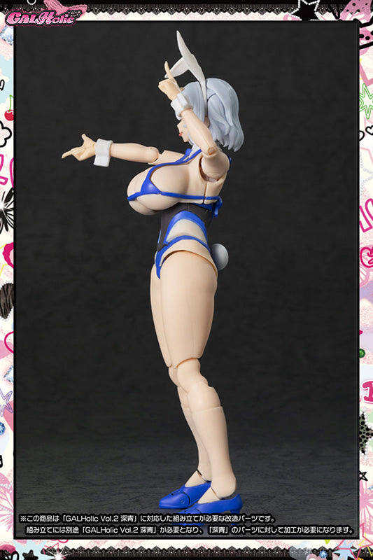 GALHolic Customize Resin Kit Vol.3