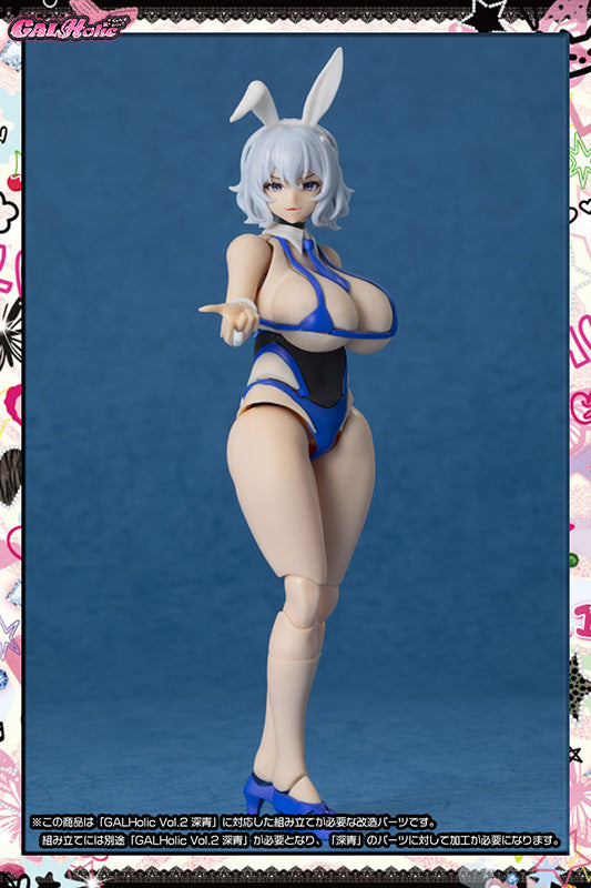 GALHolic Customize Resin Kit Vol.3