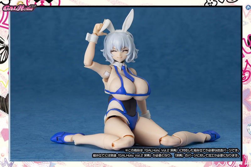 GALHolic Customize Resin Kit Vol.3