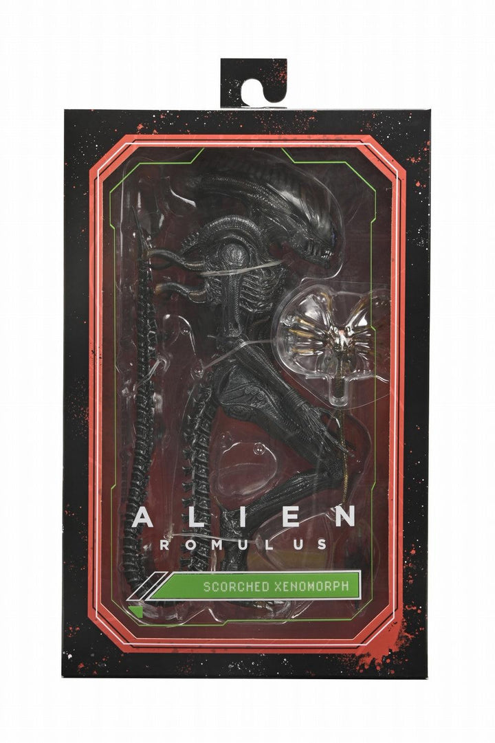 スコーチド ゼノモーフ アルティメット 7インチ アクションフィギュア