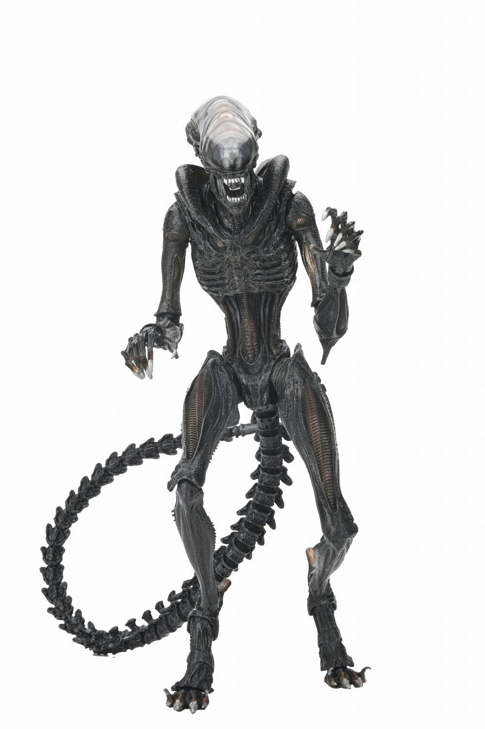 スコーチド ゼノモーフ アルティメット 7インチ アクションフィギュア