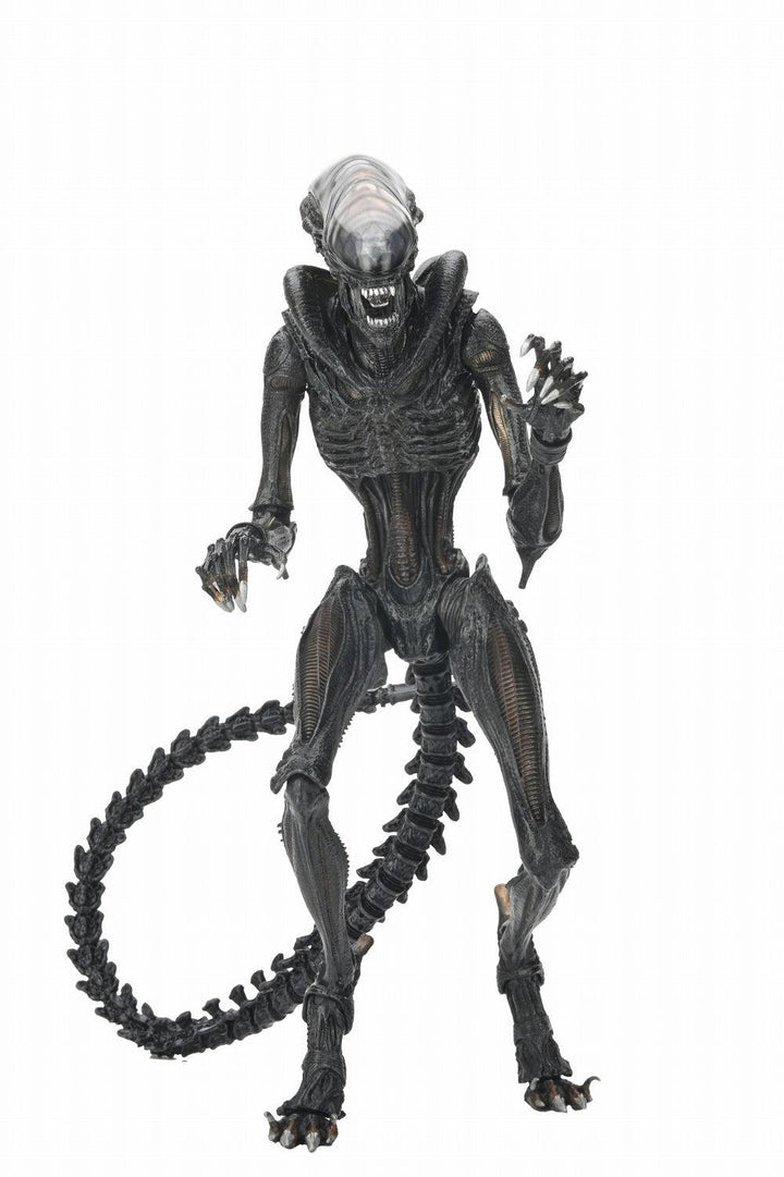 スコーチド ゼノモーフ アルティメット 7インチ アクションフィギュア