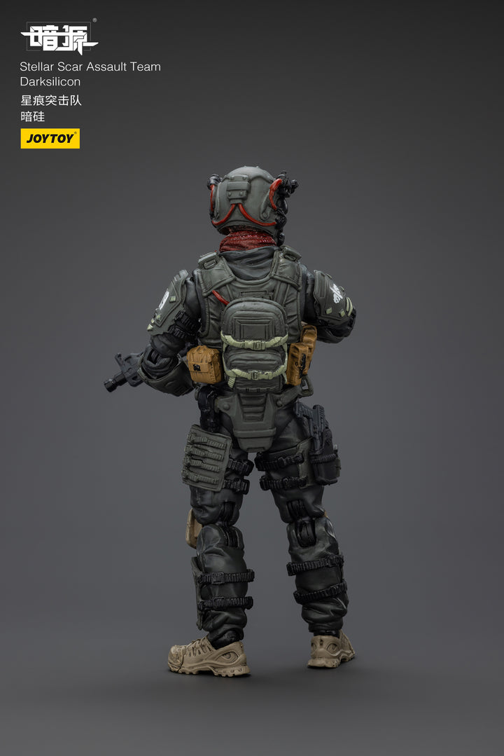 ステラー・スカー強襲隊 ダークシリコン 1/25スケール