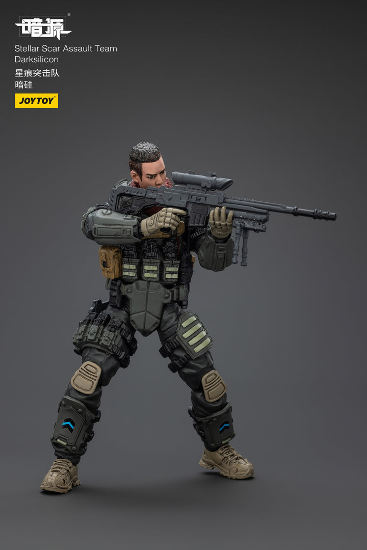 ステラー・スカー強襲隊 ダークシリコン 1/25スケール