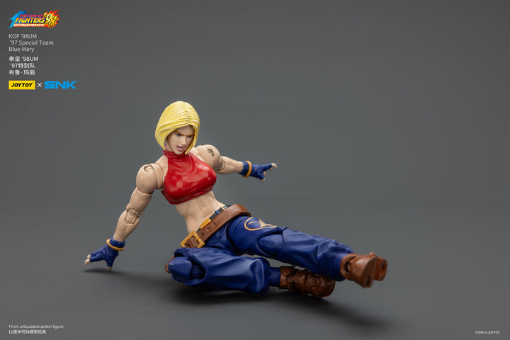 '97スペシャルチーム ブルー・マリー 1/18スケール