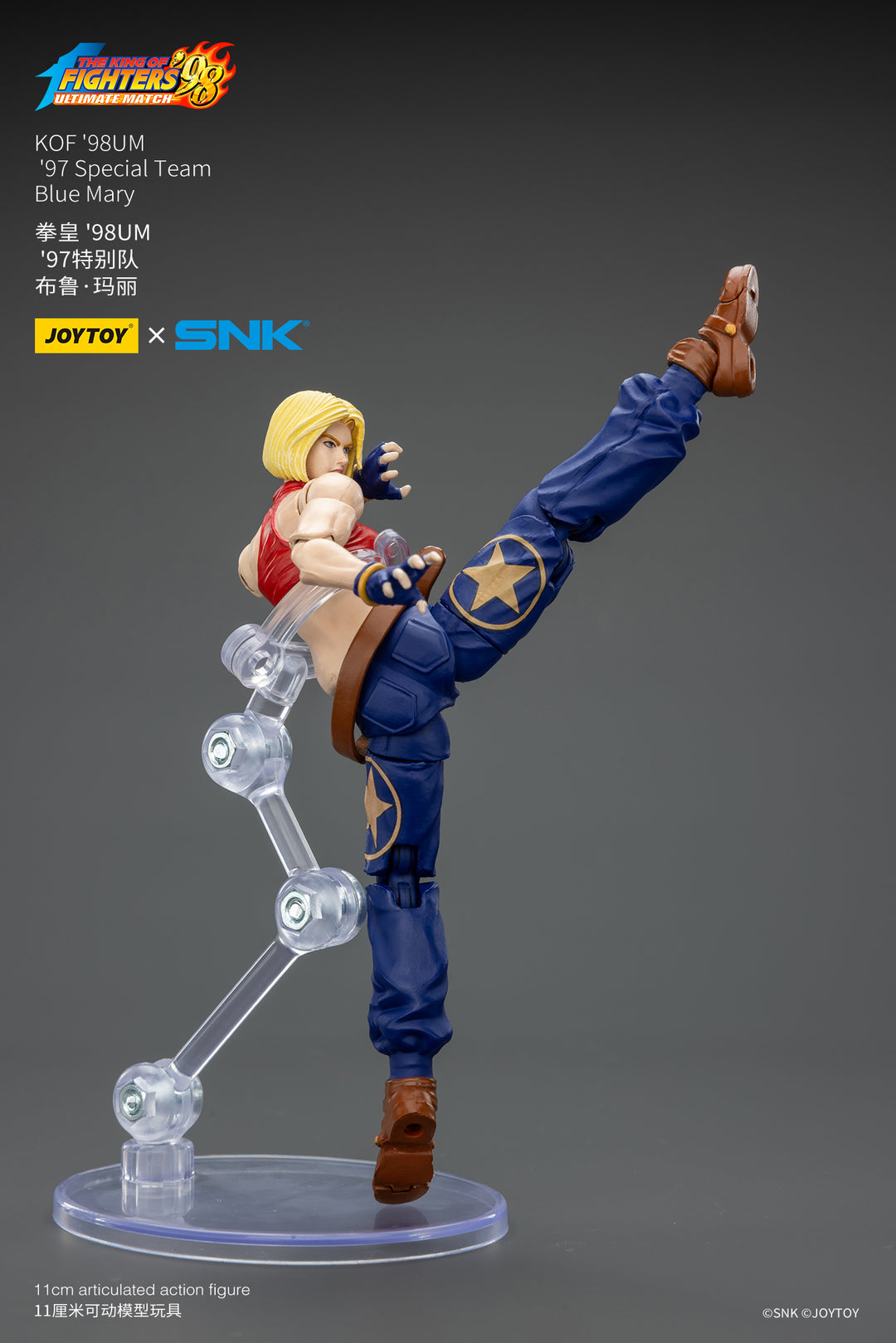 '97スペシャルチーム ブルー・マリー 1/18スケール