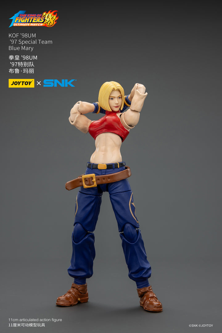 '97スペシャルチーム ブルー・マリー 1/18スケール