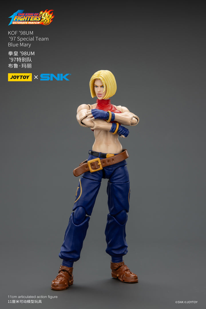 '97スペシャルチーム ブルー・マリー 1/18スケール