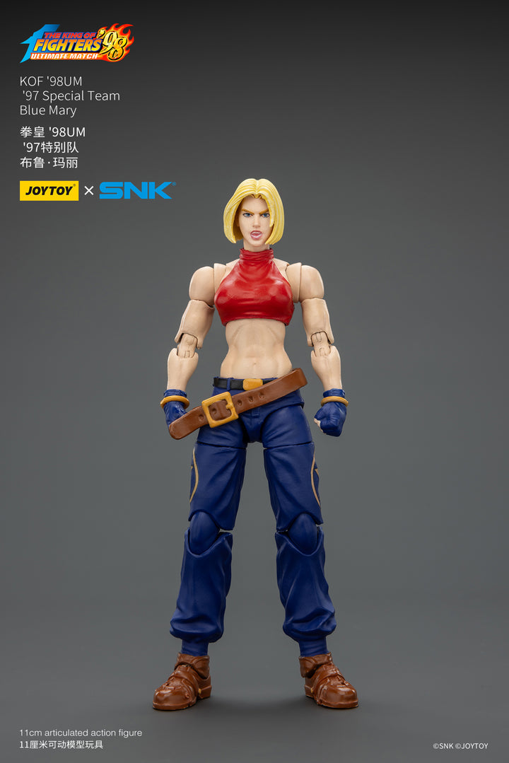 '97スペシャルチーム ブルー・マリー 1/18スケール