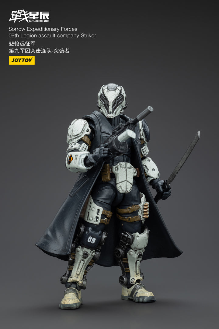 悲愴遠征軍 09thレギオン ストライカー 1/18スケール
