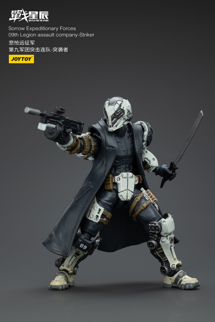 悲愴遠征軍 09thレギオン ストライカー 1/18スケール