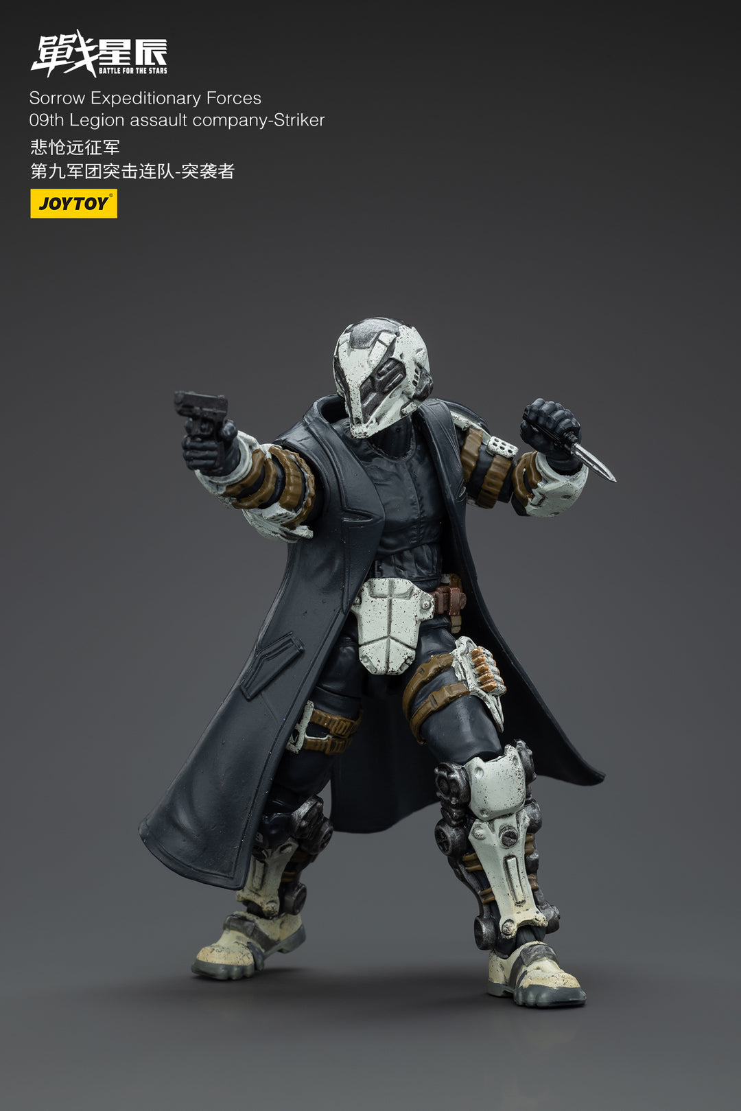 悲愴遠征軍 09thレギオン ストライカー 1/18スケール