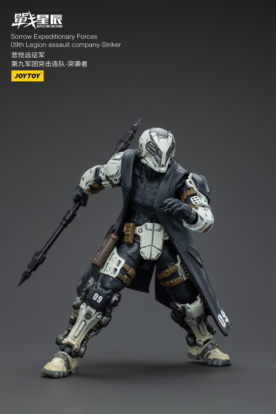 悲愴遠征軍 09thレギオン ストライカー 1/18スケール