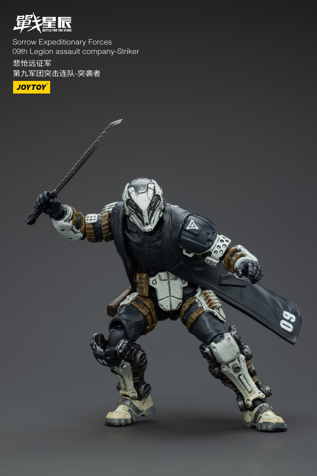 悲愴遠征軍 09thレギオン ストライカー 1/18スケール