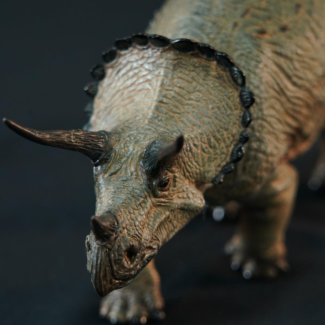 【決算セール対象！】 トリケラトプス ショート ソフビキット復刻版