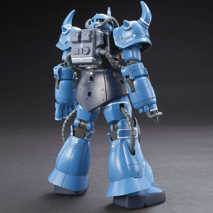 HG プロトタイプグフ(戦術実証機) 1/144スケール