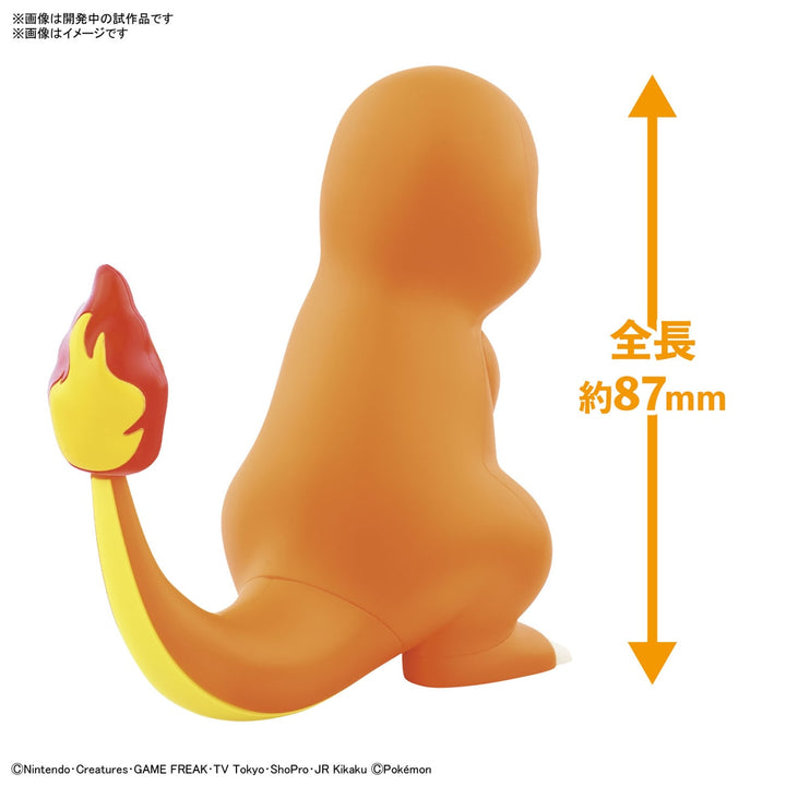 ポケプラクイック!! 11 ヒトカゲ